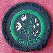 Flower Arranging Guide Interest Badge 1991